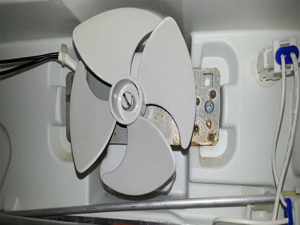 Vị trí quạt gió bên trong ngăn mát tủ lạnh LG (minh họa)