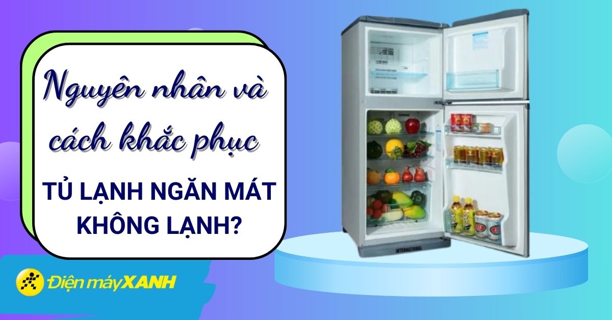 Tủ lạnh LG không lạnh ngăn mát